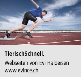 evince_websolutions