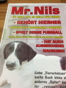 Mit diesem Plakat versucht Ingo Kurtz seinen Hund vor übereifrigen Tierfreunden zu beschützen.